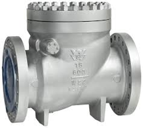 Check Valve